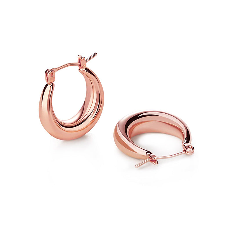 Popular Personality Thick Round Metal Women's Earrings